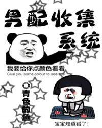 男配收集系统小说阅读