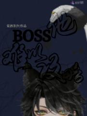 BOSS他难以攻略小说阅读