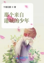 那个来自港城的少年小说阅读