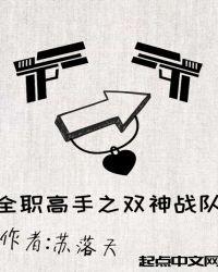 全职高手之双神战队小说阅读