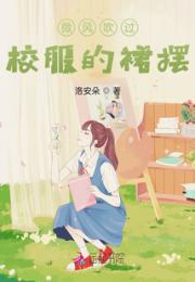 微风吹过，校服的裙摆小说阅读