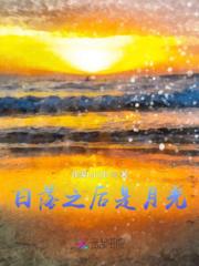 日落之后是月光小说阅读