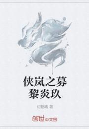 侠岚之募黎炎玖小说阅读
