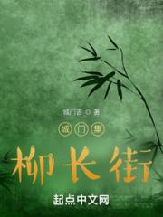 城门集：柳长街小说阅读