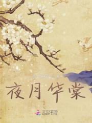 夜月华棠小说阅读