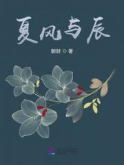 夏风与辰小说阅读