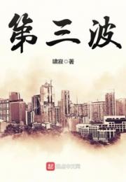 第三波小说阅读