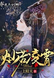 灿若凌霄小说阅读