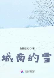 城南的雪小说阅读