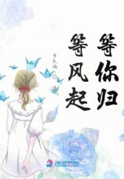 等风起等你归小说阅读