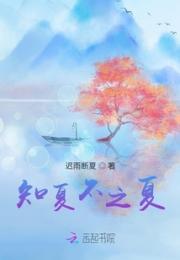 知夏不之夏小说阅读