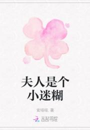 夫人是个小迷糊小说阅读