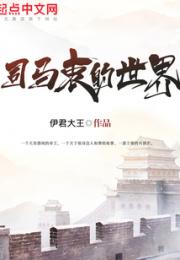 司马衷的世界小说阅读