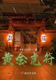 黄金虎符小说阅读
