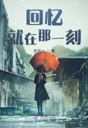 回忆，就在那一刻小说阅读