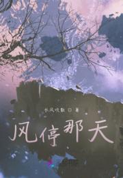 风停那天小说阅读