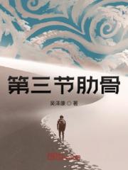 第三节肋骨小说阅读