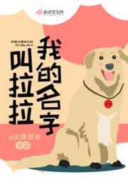 我的名字叫拉拉小说阅读