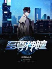 至尊神瞳小说阅读