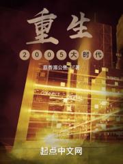 重生2005大时代小说阅读