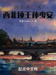四合院：我！西北捶王孙少安小说阅读