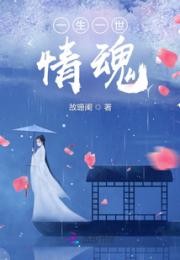 一生一世：情魂小说阅读