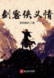 剑客侠义情小说阅读