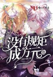 没有规矩也成方元小说阅读