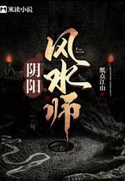 阴阳风水师小说阅读