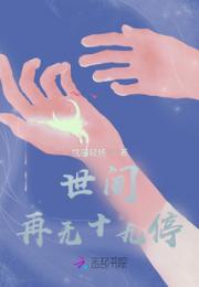 世间再无十九停小说阅读