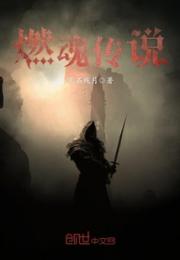燃魂传说小说阅读
