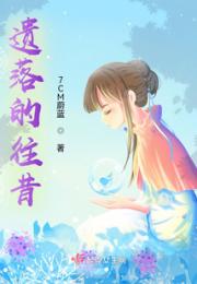 遗落的往昔小说阅读
