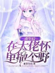 重生后，在大佬怀里撒个野