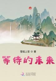 等待的未来