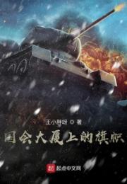 国会大厦上的旗帜小说阅读