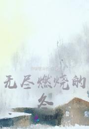 无尽燃烧的冬小说阅读