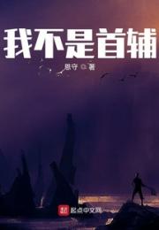我不是首辅小说阅读
