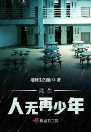 此生人无再少年小说阅读