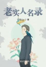 老实人名录小说阅读