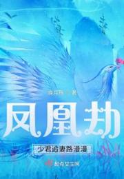 凤凰劫，少君追妻路漫漫小说阅读