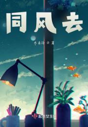 同风去小说阅读