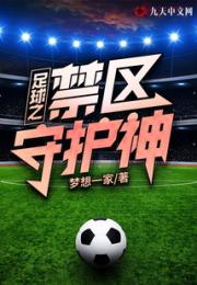 足球之禁区守护神小说阅读
