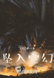 坠入空幻小说阅读