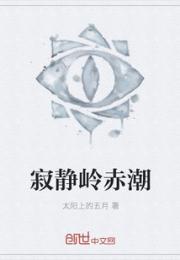 寂静岭赤潮小说阅读