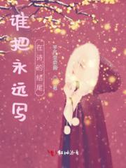 谁把永远写在诗的结尾小说阅读