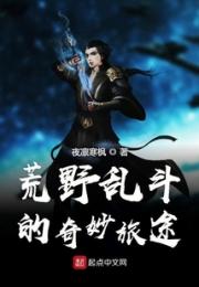 荒野乱斗的奇妙旅途小说阅读