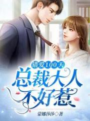 错爱100天：总裁大人不好惹小说阅读