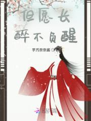 但愿长醉不负醒小说阅读
