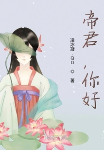 帝君，你好小说阅读