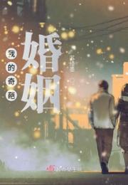 我的奇葩婚姻小说阅读